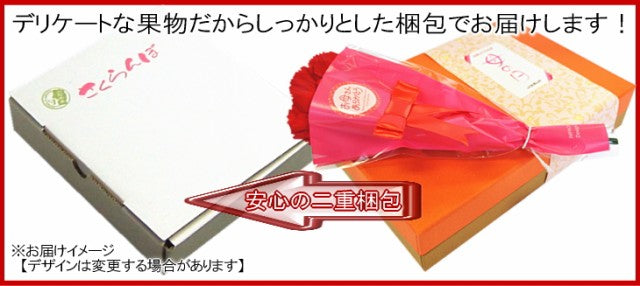生産量わずか2%!!温室栽培さくらんぼ佐藤錦/秀品Lサイズ24粒/生カーネーション&カード付/ha