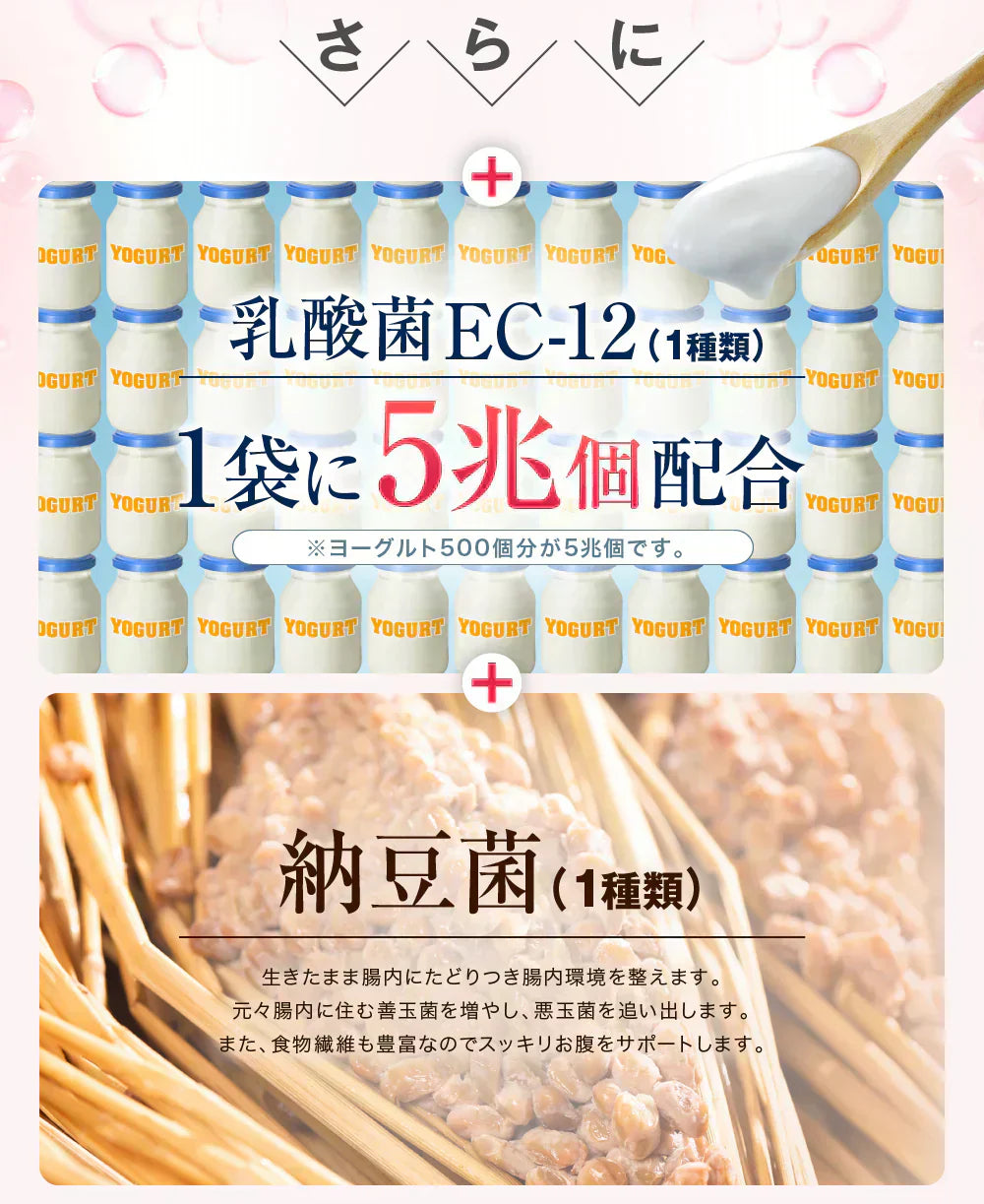 【クレンズ革命 ・お得3ヶ月分】5兆個 善玉菌のチカラ 内側から スッキリ 腸活 ダイエットサプリ 腸内フローラ 納豆菌 乳酸菌 菌活 悪玉菌 ガセリ ビフィズス菌 カルニチン プロバイオティクス デトックス クレンズサプリメント ガセリ菌 悪玉菌 国産 お腹スッキリ 乳酸菌サプリ 酪酸菌 納豆菌 ナットウキナーゼ ビフィズス菌 おすすめ 人気 ランキング 効果 強力 最強 通販 日本製 国産