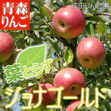 葉とらず ジョナゴールド 家庭用 約2.5kg箱(9~10個入)