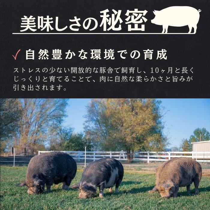 高級黒豚 焼肉用ももスライス 1kg(500g×2パック)静岡県産バークシャー