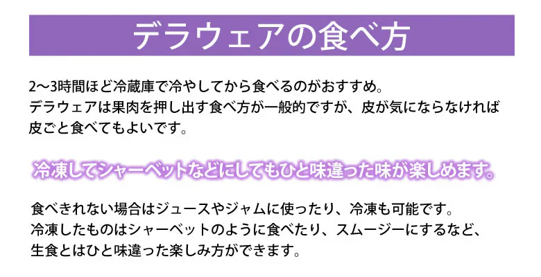 【6月下旬~7月上旬頃より順次出荷】デラウェア ぶどう 送料無料 1kg 8~10房 福岡県産 葡萄 黒ぶどう 巨峰 藤稔 ピオーネ