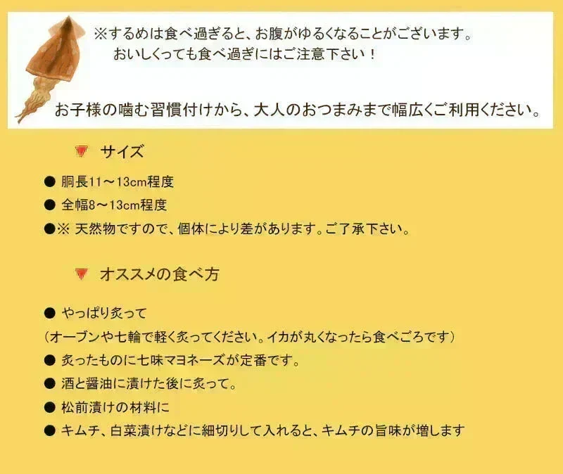 <国産するめ100g> あたりめ