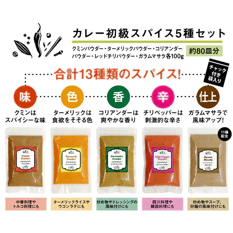 【送料無料 レシピ付】カレー 初級 スパイス 5種 セット 100g 大容量 チャック袋入 スパイス スパイスカレー おうちカレー 手作りカレー 送料込み お得 人気 お試し お試しセット