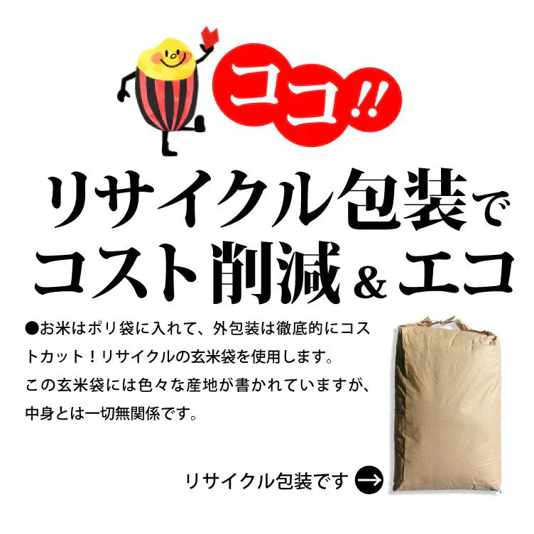 【新米】こしひかり 令和5年埼玉県産 20kg