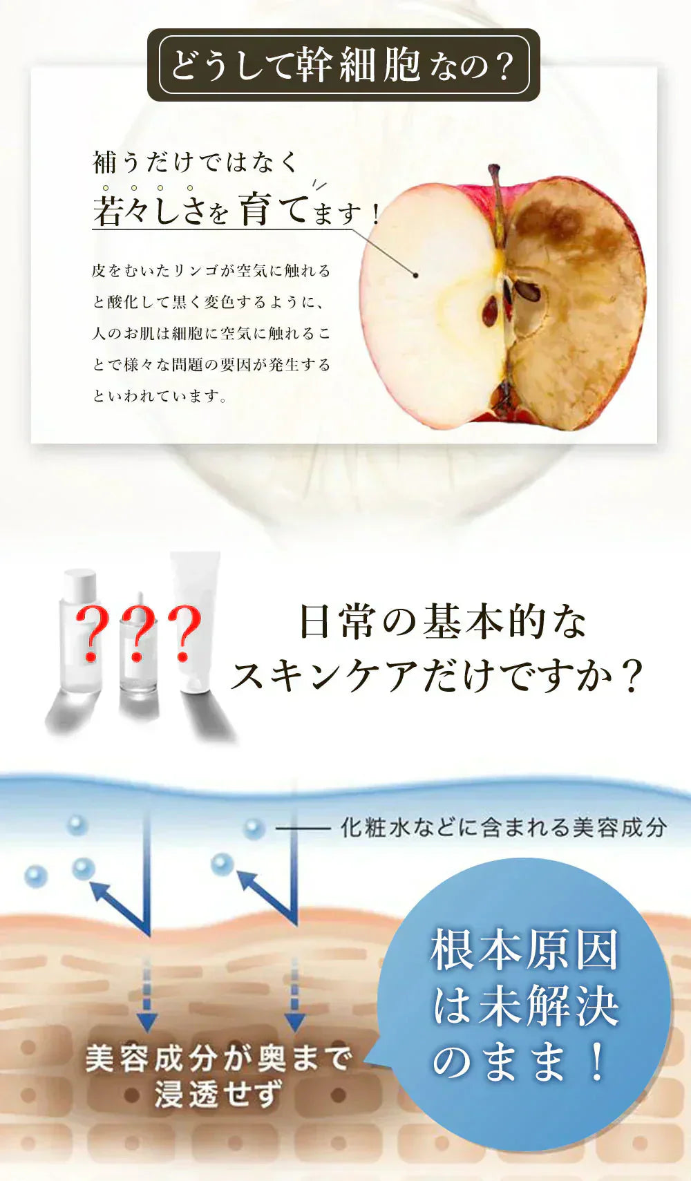 セール中!【肌が潤い!夜用2パック60枚入り】【LDK3月号A評価受賞】高評価 cicibella ヒト幹細胞 シートマスク 大容量 高保湿 VC200 ヒト幹細胞 フェイスパック フェイスマスク パック 乾燥 毛穴 美肌の秘密 顔パック ツヤ トラブル肌 水分 エクソソーム EXOSOME 高密着 キメ スキンケア レチノール