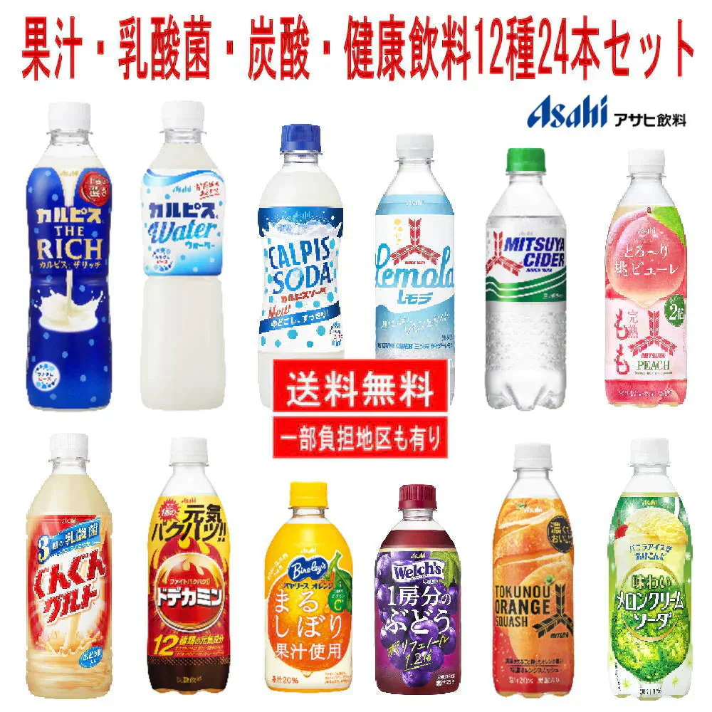 アサヒ飲料 カルピス クリームソーダ 三ツ矢サイダー ドデカミン バヤリースオレンジ 果汁・乳酸菌・炭酸・健康飲料12種24本セット