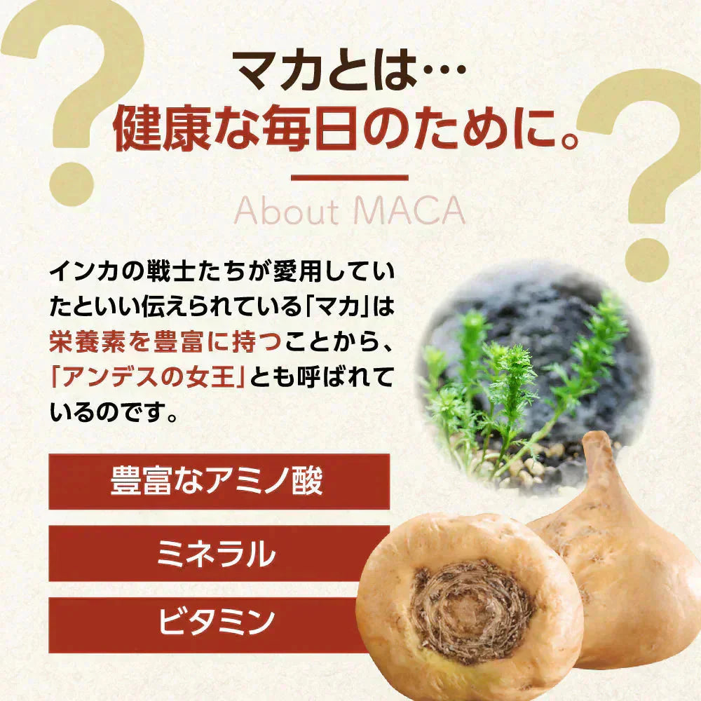 マカ 《約3ヶ月分》 サプリ 亜鉛 鉄 必須アミノ酸 男性 女性 元気 エネルギー ビタミン ミネラル 健康 マカ【大容量】