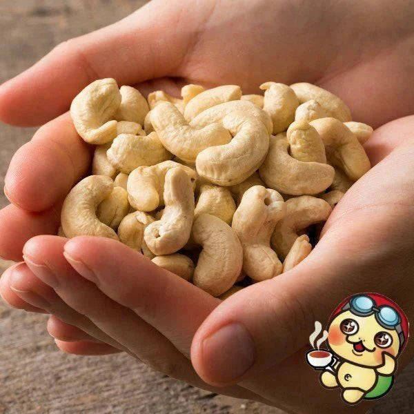 カシューナッツ 無塩 素焼き 500g  愛すべきナッツ 素焼きカシューナッツ 無塩 無添加 素焼き ロースト カシュー ナッツ ローストカシューナッツ おつまみ おやつ 訳あり 製菓・製パン材料