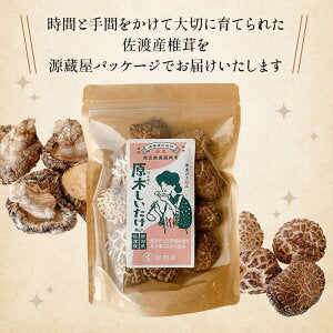 原木しいたけ 椎茸 肉厚 完全無農薬栽培 新潟県 佐渡産 60g