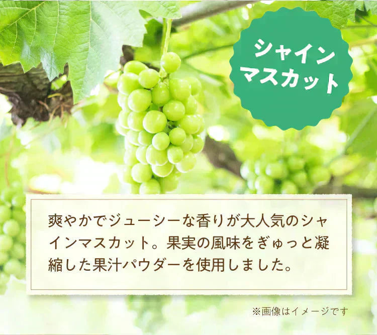 <97676>アレンジルイボスティー シャインマスカット カップ用30個入(グリーンルイボスティー ティーバッグ ノンカフェイン ハーブティー)