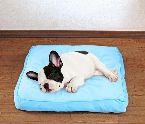 接触冷感生地 ひんやり ひんやりクッション 60×50 大きい 犬 赤ちゃん 子供 ペット