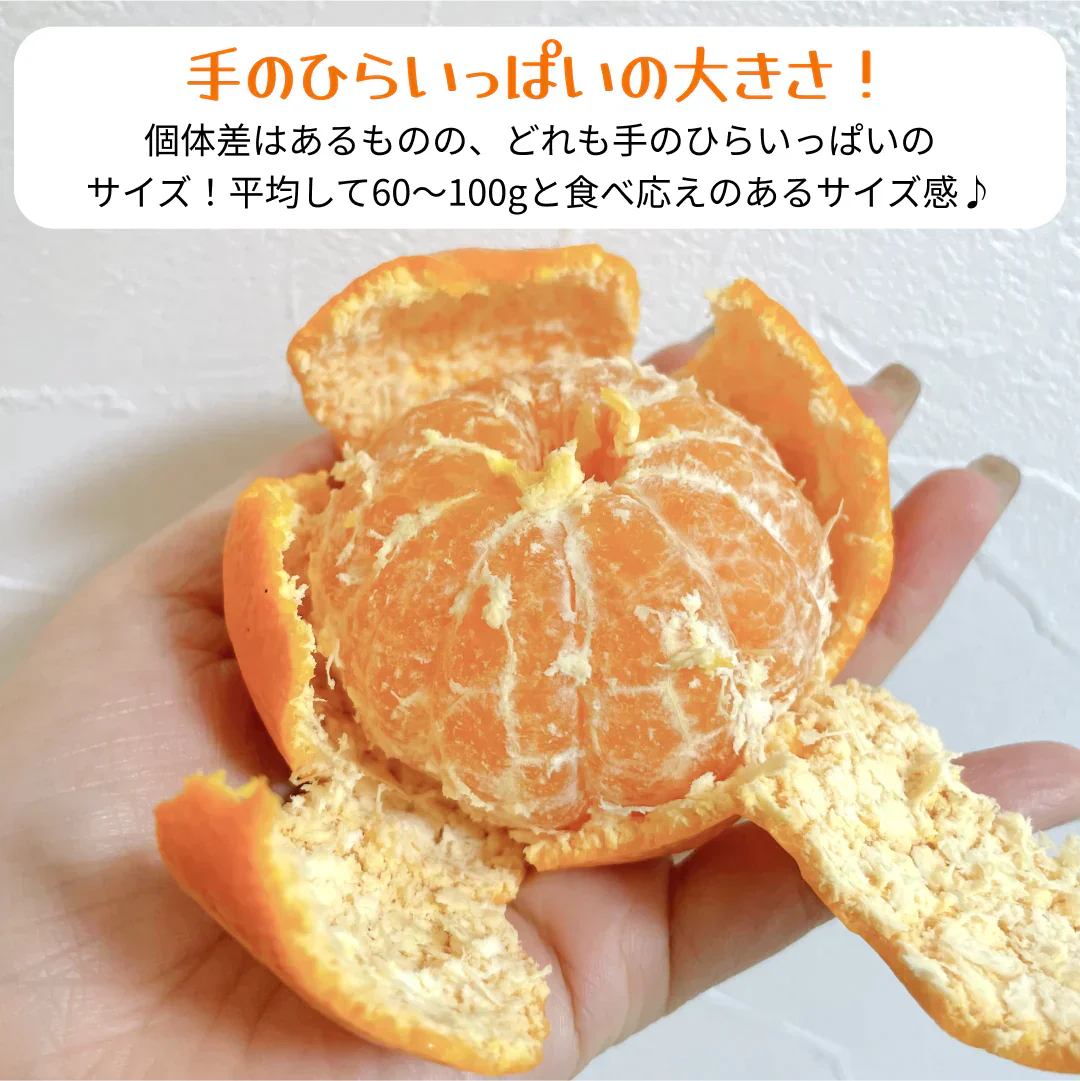 【極 / 濃厚】和歌山県 有田みかん 5キロ