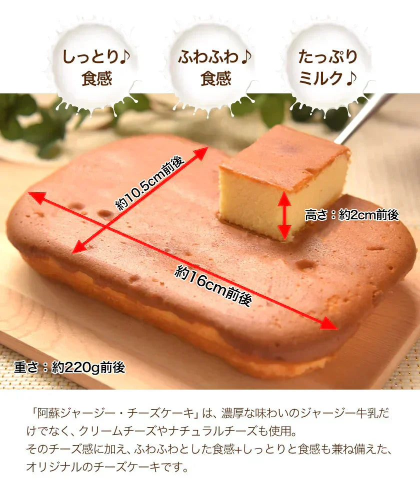 阿蘇 ジャージー チーズケーキ 希少 な ジャージー牛乳使用 スイーツ 1-5営業日以内に発送予定(土日祝除く)
