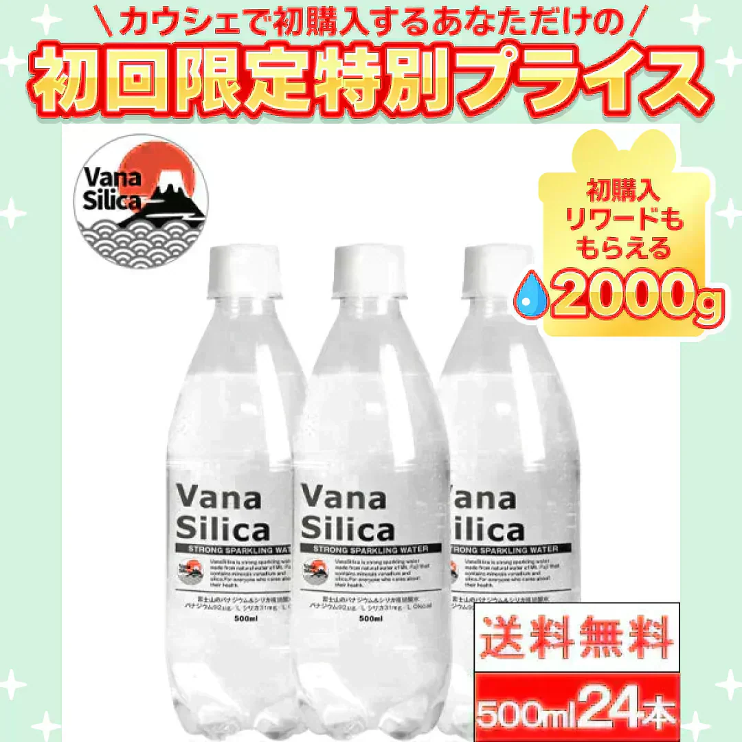 【1ケース】【5営業日以内で配送】 富士山のバナジウム&シリカ 強炭酸水 VanaSilica(バナシリカ) 500ml 24本 プレーン