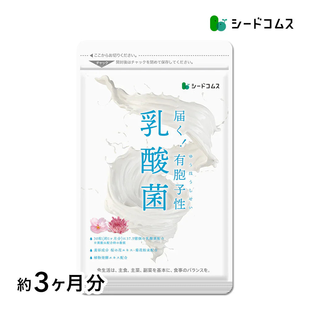 乳酸菌《約3ヶ月分》有胞子性乳酸菌ソフトカプセル/ 乳酸菌 高配合 サプリ 桜の花エキス