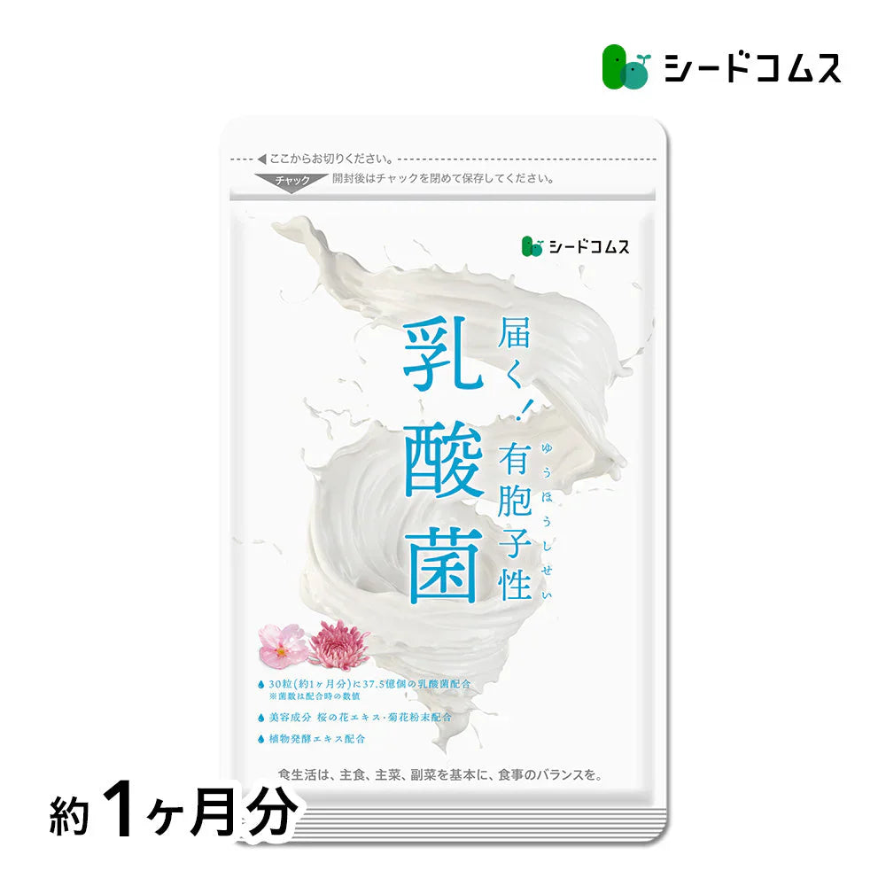 乳酸菌《約1ヶ月分》有胞子性乳酸菌ソフトカプセル/ 乳酸菌 高配合 サプリ 桜の花エキス【カウシェファーム収穫対象商品】