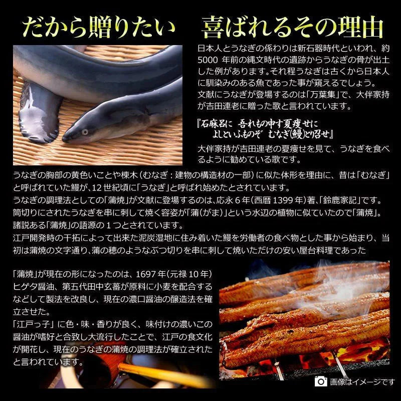 うなぎ 蒲焼き 国内産 送料無料 ギフト 土用の丑の日 父の日 1尾約250g前後×3尾セット 国産 うなぎ 超特大 鰻土用 丑の日《正規品》お中元 贈り物 母の日
