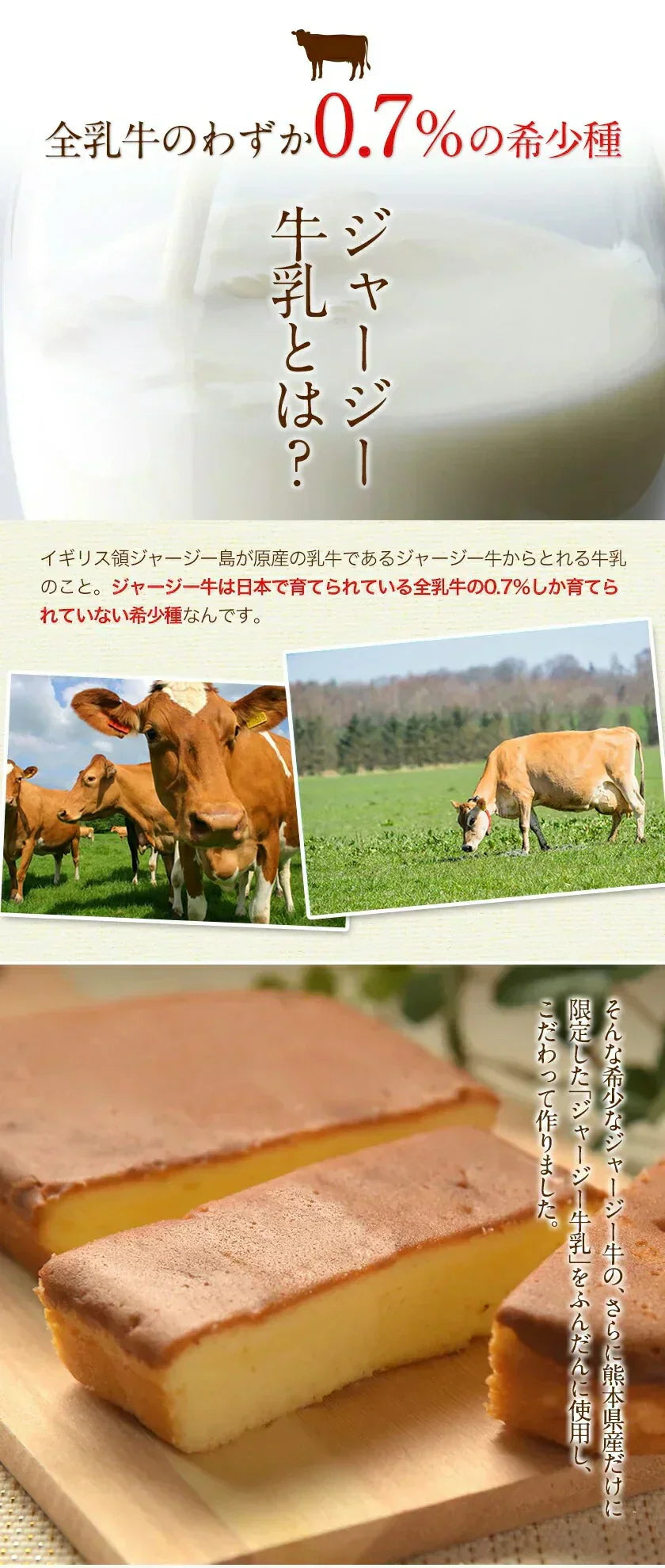 阿蘇 ジャージー チーズケーキ 希少 な ジャージー牛乳使用 スイーツ 1-5営業日以内に発送予定(土日祝除く)