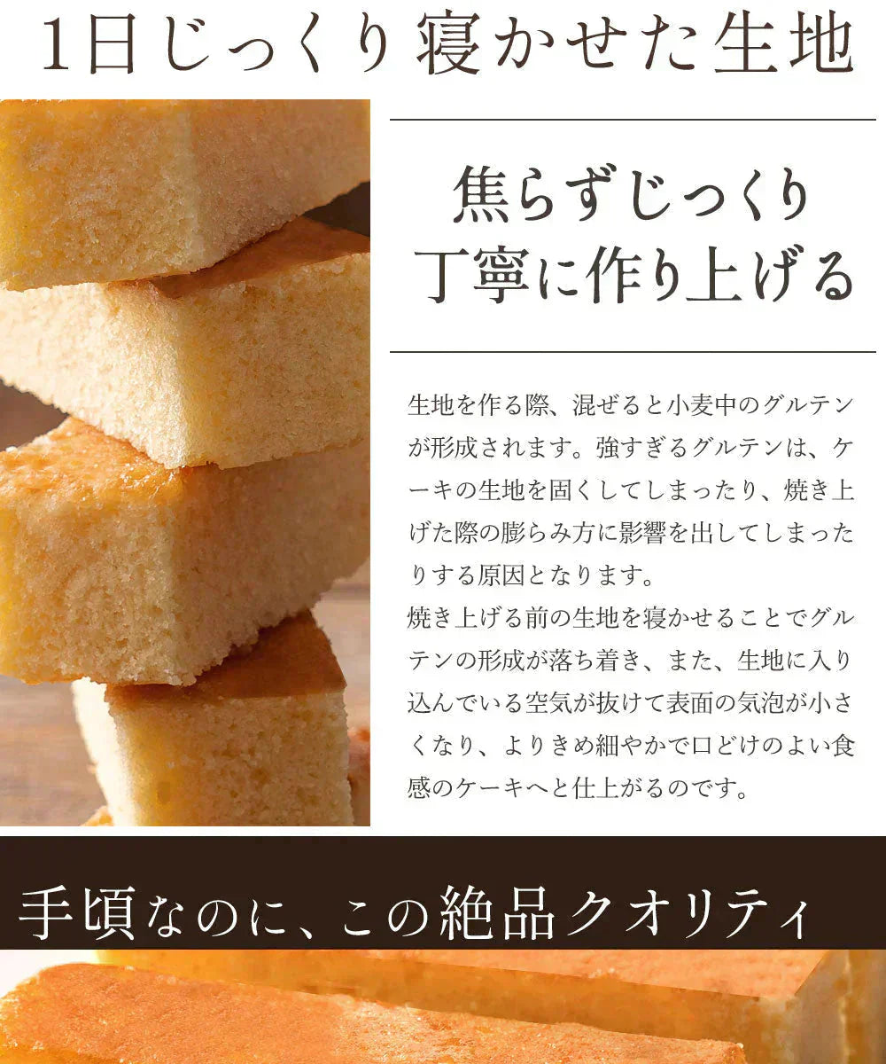 スターチーズケーキバー20本セット(10本入×2) 【お気に入りランキング】