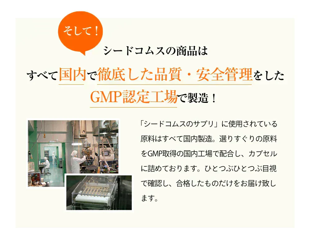 DietカプサイシンMIX《約3ヶ月分》サプリ サプリメント ダイエット 燃焼系 カプサイシン メリロート ガルシニア 高麗人参 ひまわり油