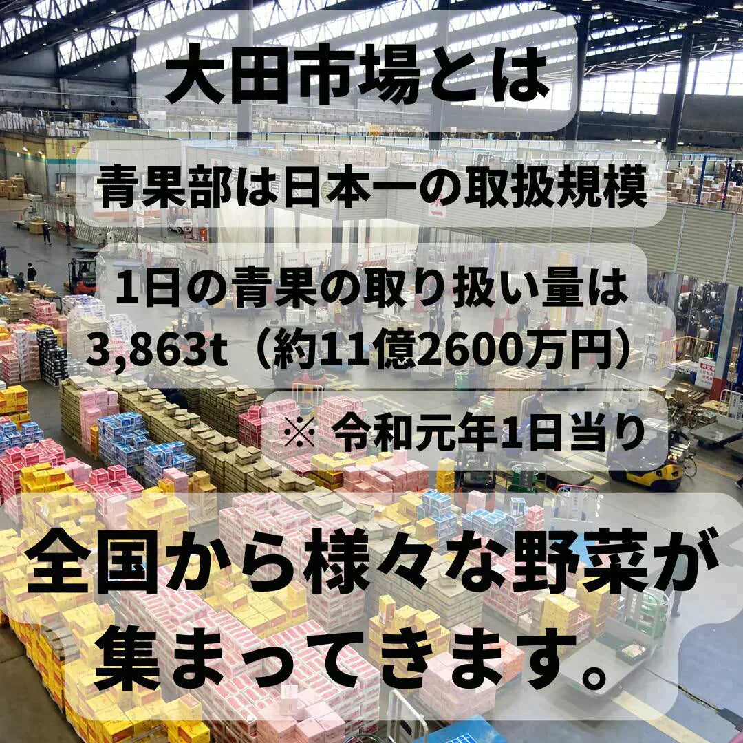 【大田市場直送】全国から仕入れるこだわった野菜セット!おまかせ 15品詰め合わせ!【送料無料】