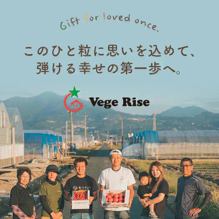 【予約】【2026年1月から順次発送】1kg トマランタン 笑顔溢れる甘さ♪超濃厚ミニトマト!【東北配送不可】