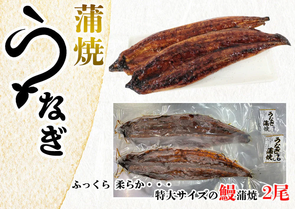 うなぎ蒲焼 鰻蒲焼 2尾 送料無料 特大サイズ 蒲焼 土用の丑の日 うなぎ ウナギ 鰻 中国産 メーカー直送 shr-021