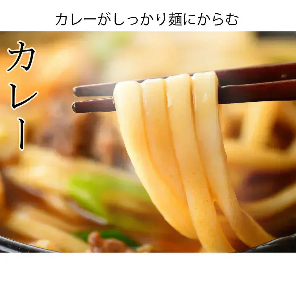 うどん 讃岐うどん 約6人前 600g (300gx2袋) つゆ付き 送料無料 本場讃岐 純生うどん 太麺 うどん お取り寄せ siawase6-tuyu