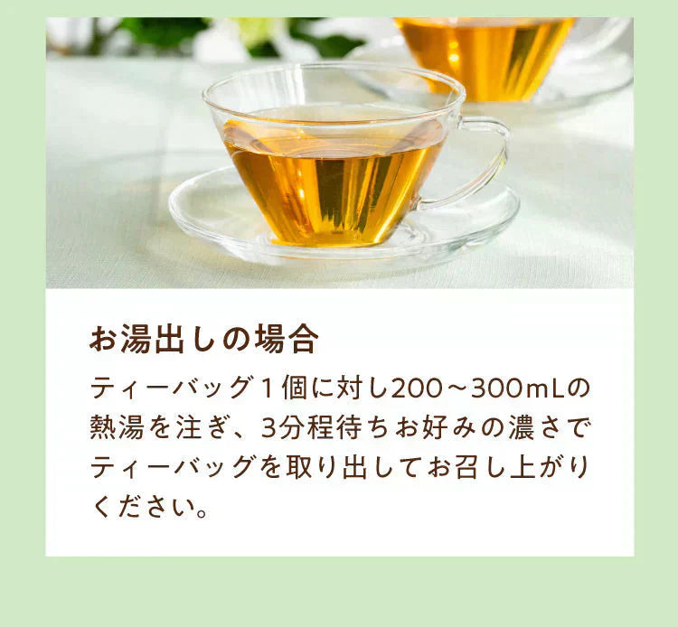 ★水出しOK★【約60杯分】アレンジルイボスティー シャインマスカット カップ用30個入 2袋セット(グリーンルイボスティー ティーバッグ ノンカフェイン ハーブティー)