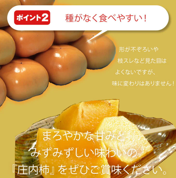 訳あり 産地直送 山形県庄内産 庄内柿 約2.5kg 玉数おまかせ 送料無料※一部地域は別途送料追加 11月上旬〜中旬発送開始予定【特産品・ご当地特集】