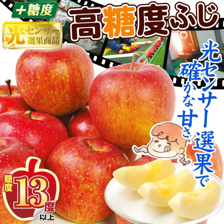 りんご 高糖度サンふじ 青森産 3kg【2025年1月中旬より発送】