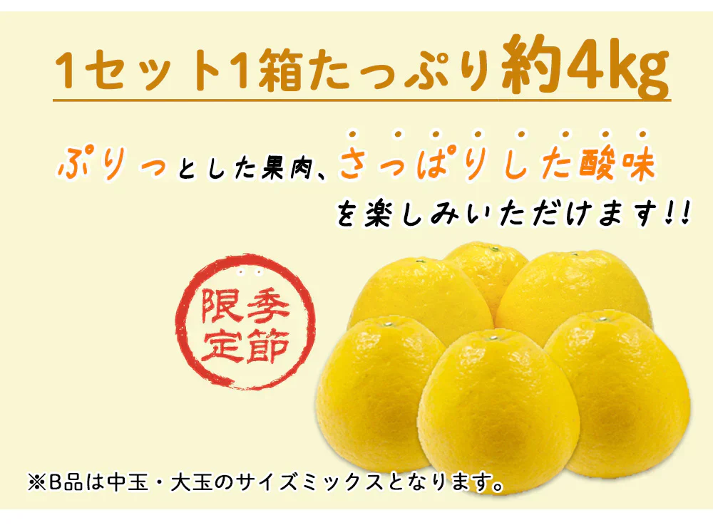 河内晩柑 B級品 (4kg) ※中玉・大玉MIX 訳あり 晩柑 ご家庭用 箱買い B品 サイズミックス 柑橘 みかん フルーツ 果物 産地直送 愛媛県産