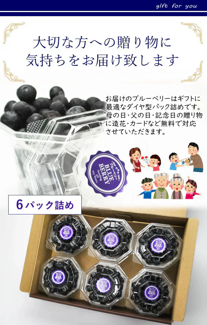 冷凍ブルーベリー(100g)6個入り化粧箱詰め 贈り物にも最適なギフト箱入り