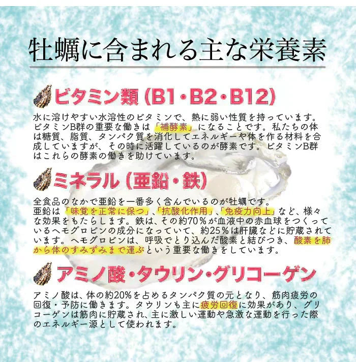 【生食OK】三陸産 殻付き 生牡蠣 3kg 今季初出し 希少 数量限定 新鮮 宮城 石巻 鉄分 ミネラル豊富 希少 貝 魚介類 かき 栄養 海の幸