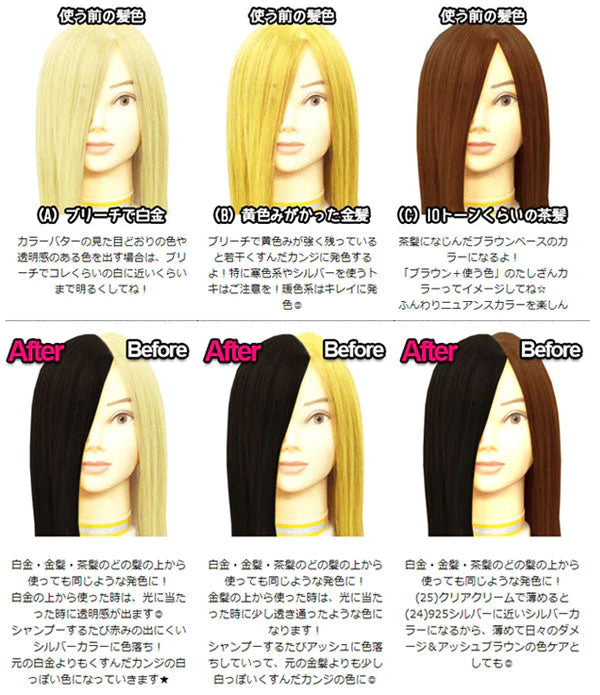 エンシェールズ カラーバター 200g ダークシルバー ヘアカラー トリートメント ヘアマニキュア ヘアケア クリップジョイント マニキュア インナーカラー ダメージヘア ブリーチヘアー