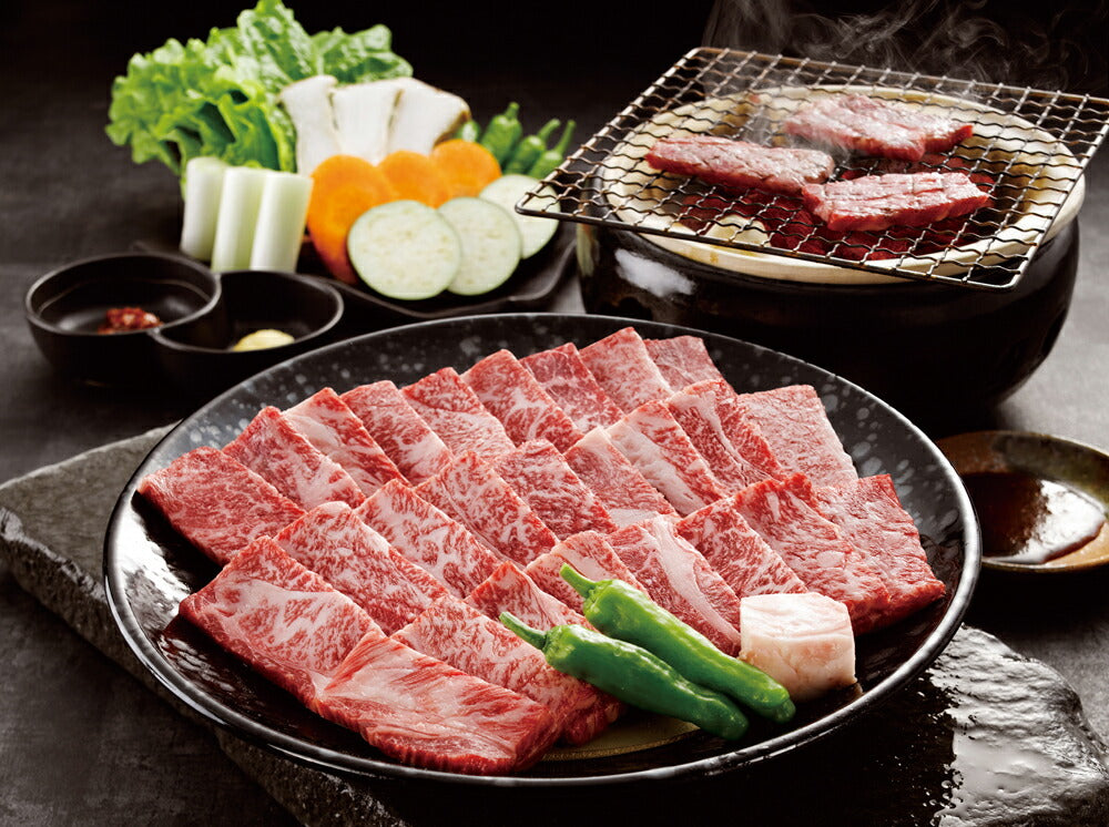 【3人シェア買いでお得】宮崎「大淀河畔 みやちく」宮崎牛 焼肉 RE-283【お届け不可地域:沖縄・離島】