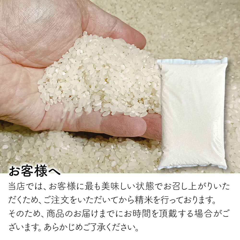 米 5kg 雪若丸 精米 山形県産 送料無料 令和6年産 ギフト 単一原料米 ブランド米 こめ コメ 白米 産地直送 kkb-005