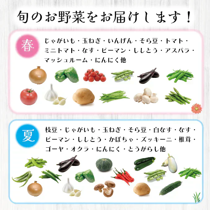 【60サイズ箱にギッシリ!房総産・大地の恵みを味わう得々野菜セット】当日採れたて直送!