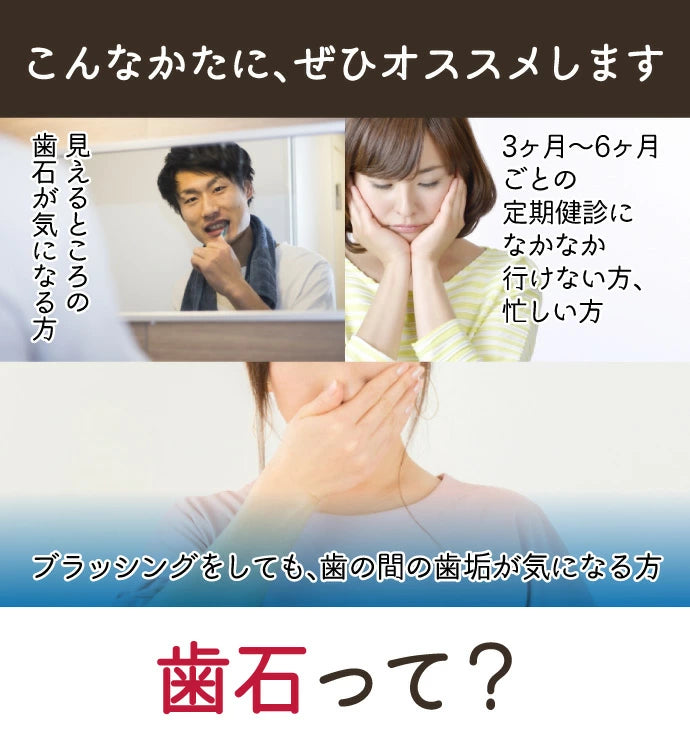 両頭鎌型スケーラー H5-33 1本【歯石取り 歯垢取り ヤニ取り】【ご新規さん限定商品】【メール便送料無料】