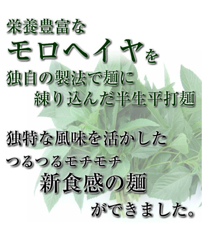 九州熟成半生ざるうどん!専用めんつゆ付き!4人前セット 平打ち麺 ビタミン豊富なモロヘイヤ入り♪