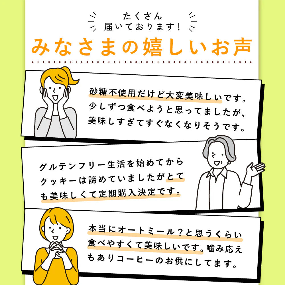 オートミールクッキー(3種のベリー) 【200g(100g×2袋)】※割れ欠けあり | 小麦不使用 低GI 低糖質 糖質制限 小腹サポート 食物繊維 雑穀スイーツ