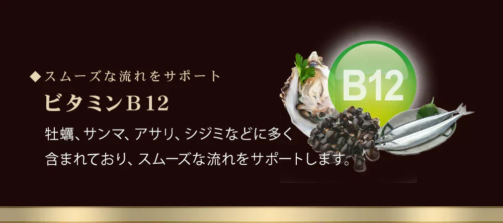 極プラセンタ《約6ヶ月分》 送料無料 プラセンタサプリ サプリメント ヘム鉄 豚プラセンタ 馬プラセンタ フェルラ酸 ビタミン フィッシュコラーゲン 潤い【大容量】