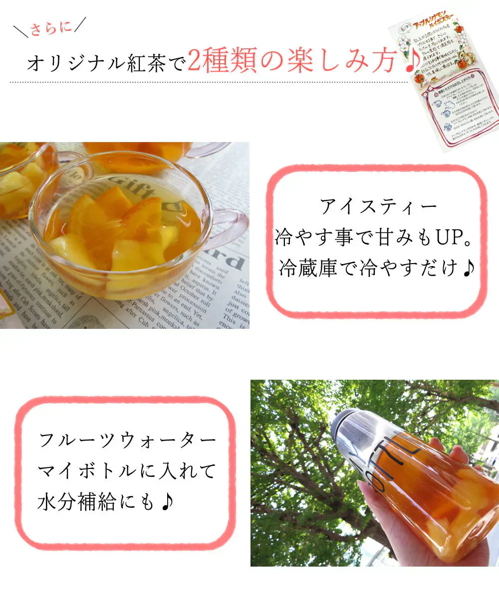 【4個入り】ドライフルーツ&ルイボスティー フルーツティー 紅茶 果物 ギフト プチギフト 贈り物 プレゼント