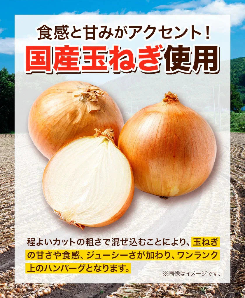 大容量 ハンバーグ 1.5kg (150g × 10個) 国産 熊本県 あか牛 九州産 卵 デミグラスソース 冷凍 レトルト お湯 湯煎 するだけ 温めるだけ お弁当 にも使えて便利《1-5営業日以内に出荷予定(土日祝日除く)》