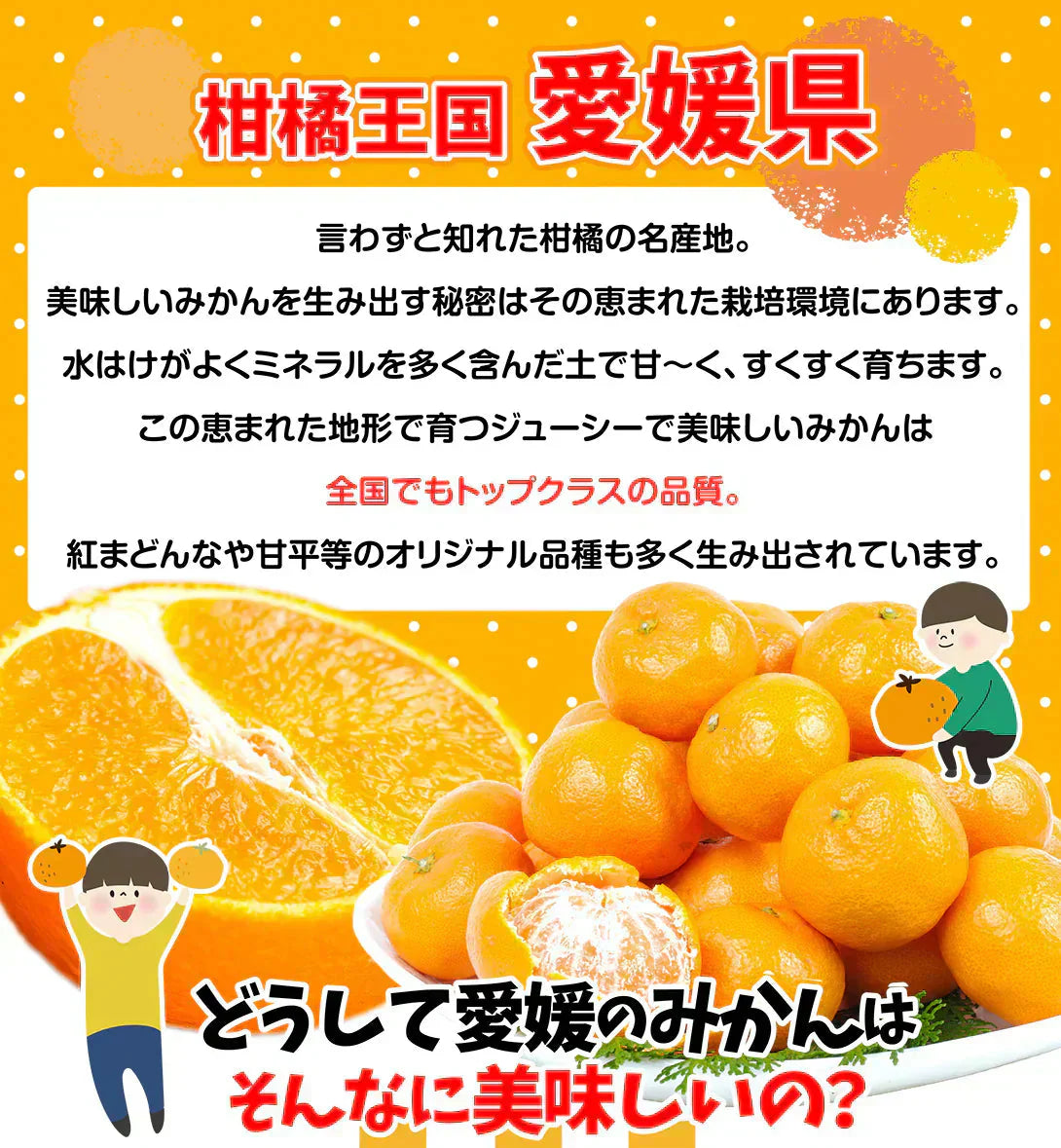 あいか 愛媛産 5kg ご家庭用 (発送予定:11月下旬より)