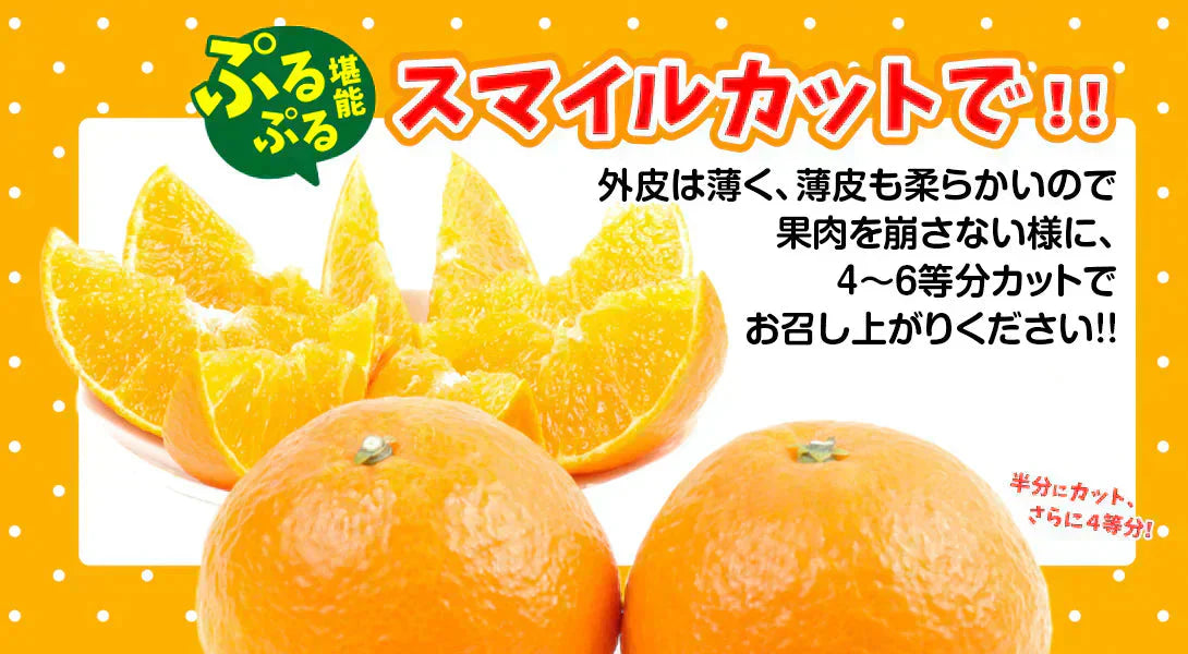 あいか 愛媛産 5kg ご家庭用 (発送予定:11月下旬より)