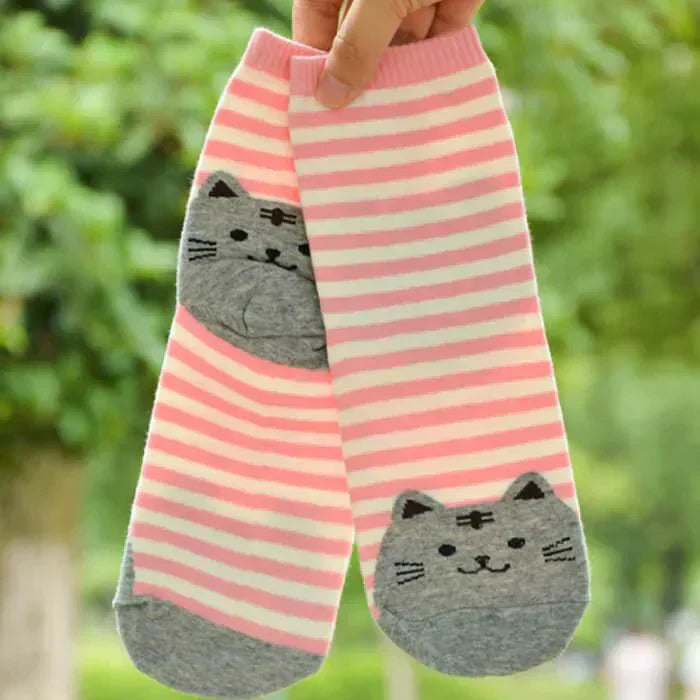 【予約商品・発送時期は商品説明に記載】猫靴下 6足セット 猫柄 ネコソックス かわいい ボーダー ショートソックス 肉球 ねこ 靴下 ネコ コットン くつ下 ソックス カジュアル 春 夏 秋 冬 女性 レディース 子供 送料無料