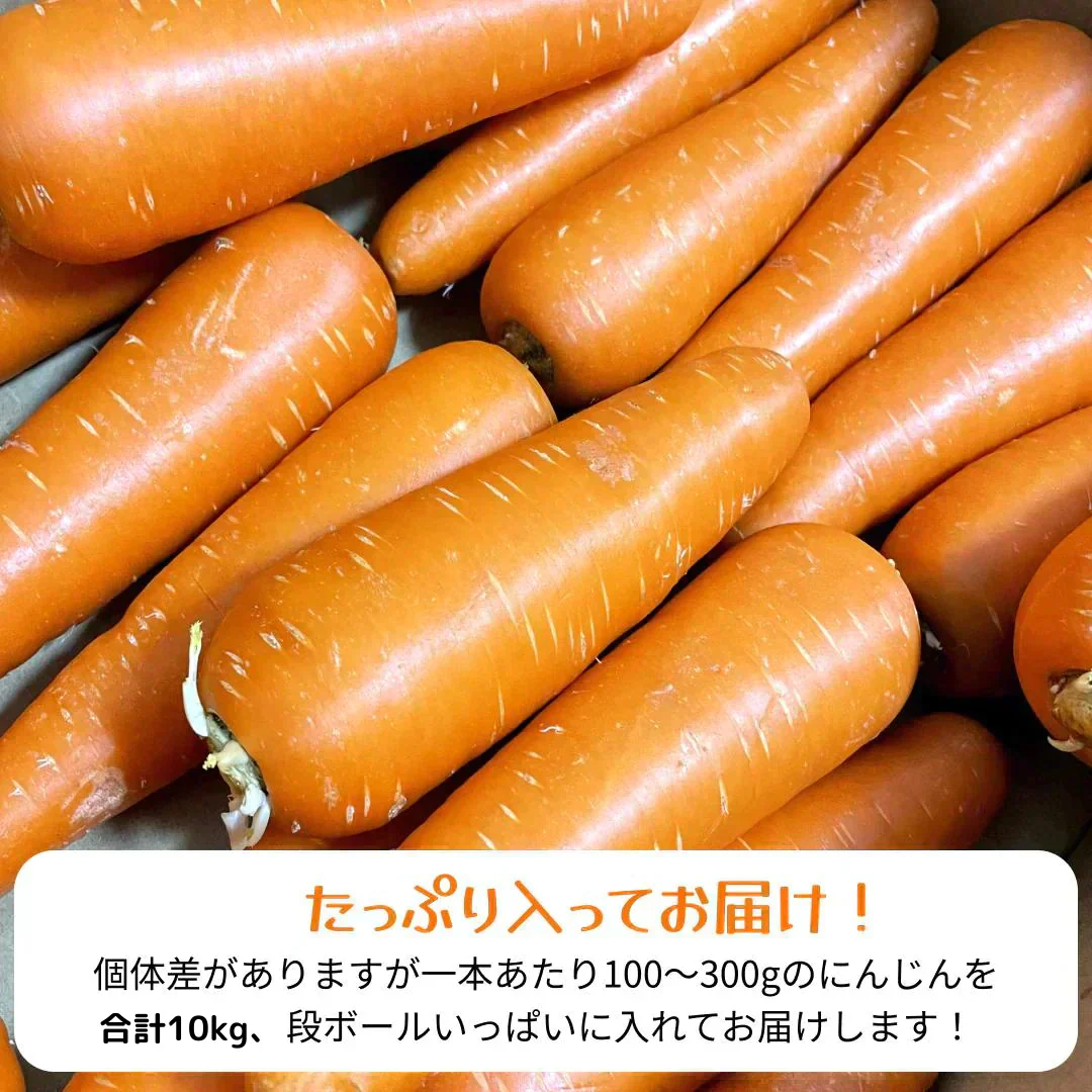 【有名ホテル御用達】甘〜い にんじん 10kg(1kg×10p) 農家 人参 ニンジン 野菜 フルーツ 青果 果物 フルーツ 市場 ギフト 食品 家庭用 贈答 料理