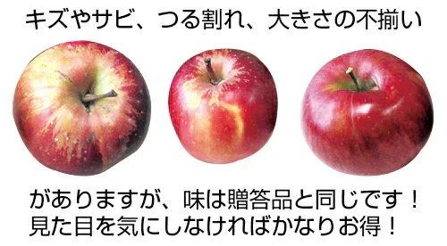 【予約受付中】青森県産 訳あり 葉とらず シナノゴールド 約10kg※11月下旬頃から予約順発送※