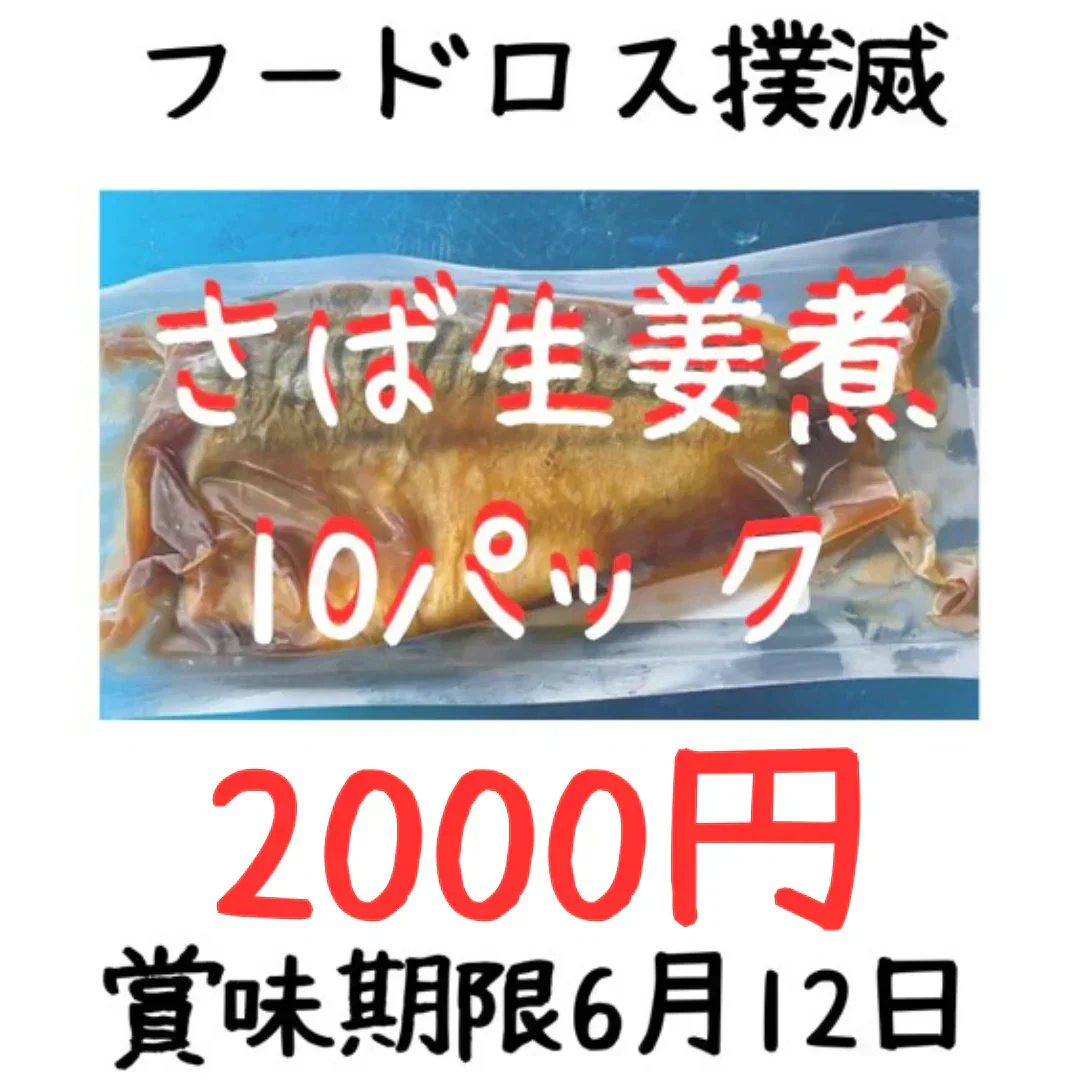【賞味期限6月12日】さばの生姜煮(国内加工)100g×10パック